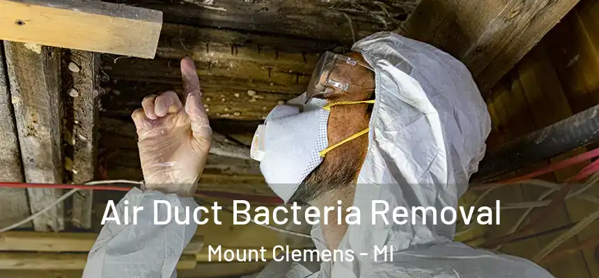  Air Duct Bacteria Removal Mount Clemens - MI