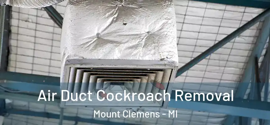 Air Duct Cockroach Removal Mount Clemens - MI