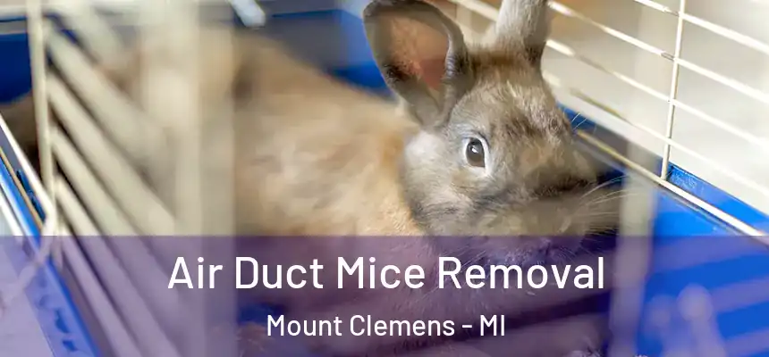  Air Duct Mice Removal Mount Clemens - MI