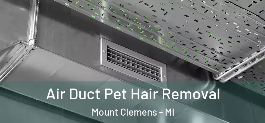  Air Duct Pet Hair Removal Mount Clemens - MI