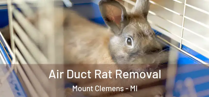 Air Duct Rat Removal Mount Clemens - MI