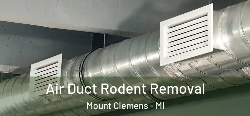 Air Duct Rodent Removal Mount Clemens - MI