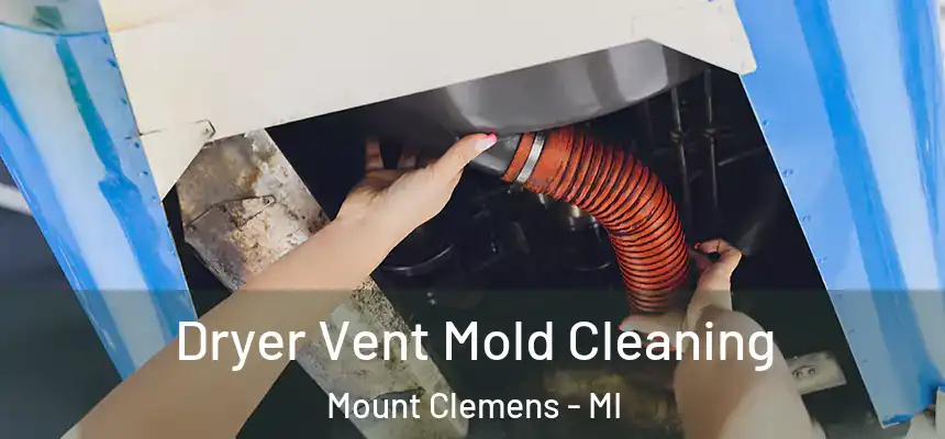 Dryer Vent Mold Cleaning Mount Clemens - MI