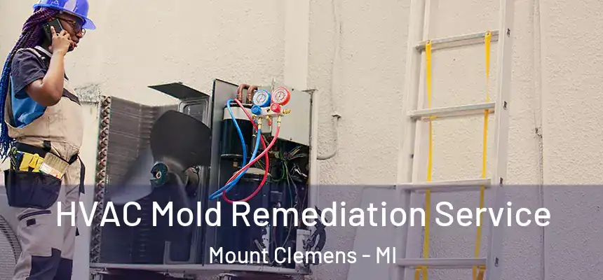  HVAC Mold Remediation Service Mount Clemens - MI