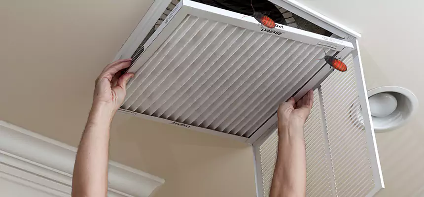 Preventive Cockroach-Proofing for Ducts in Mount Clemens