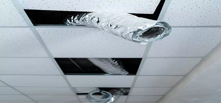 Our Air Duct Pet Hair Removal Services in Mount Clemens, MI