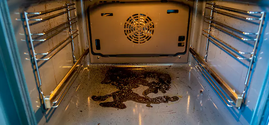 Our Dryer Vent Mold Cleaning Services in Mount Clemens, MI