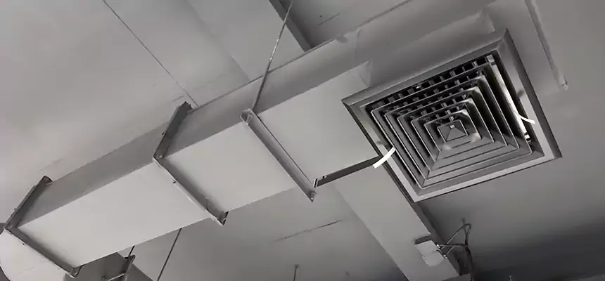 Our Pest Removal From Ducts Services in Mount Clemens, MI