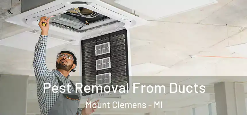  Pest Removal From Ducts Mount Clemens - MI