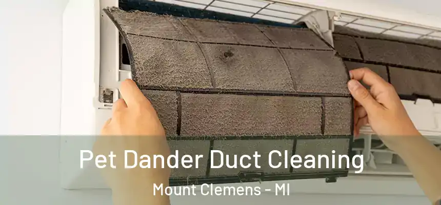 Pet Dander Duct Cleaning Mount Clemens - MI