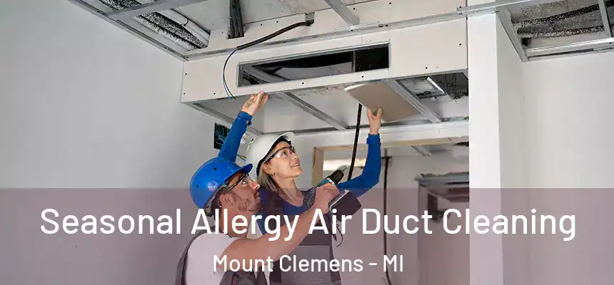  Seasonal Allergy Air Duct Cleaning Mount Clemens - MI