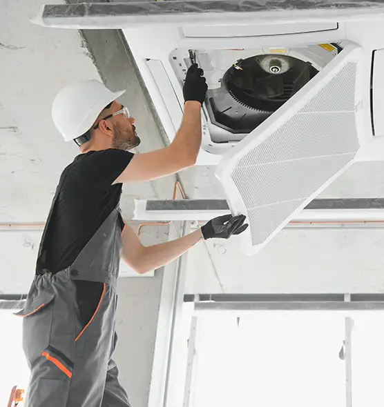 About Air Duct Rodent Removal in Mount Clemens, MI