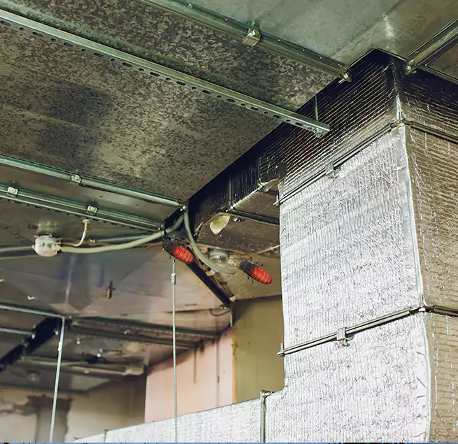 Why Homeowners & Businesses Trust Us in Mount Clemens, MI?