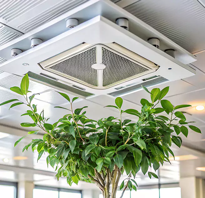 Why Homeowners & Businesses Trust Us in Mount Clemens, MI?