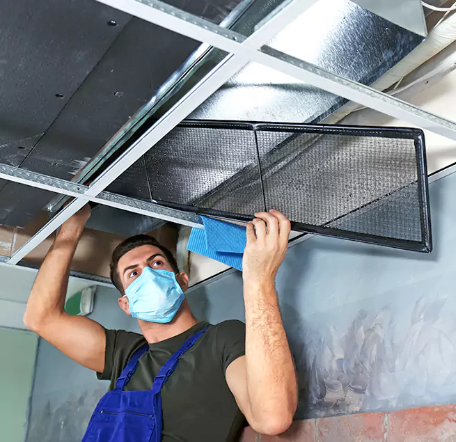 Why Homeowners & Businesses Trust Us in Mount Clemens, MI?